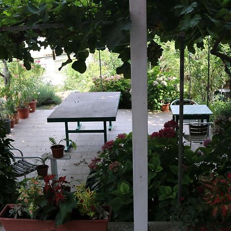 Villa Katarina Losinj Island Mali Lošinj Extérieur photo