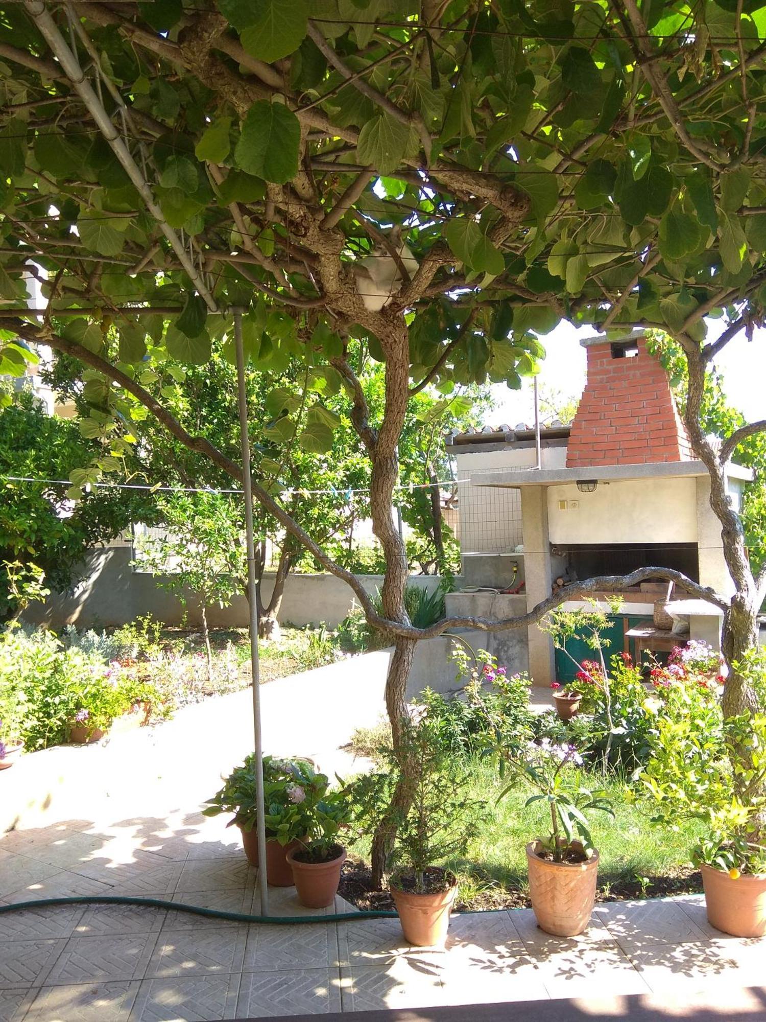 Villa Katarina Losinj Island Mali Lošinj Extérieur photo