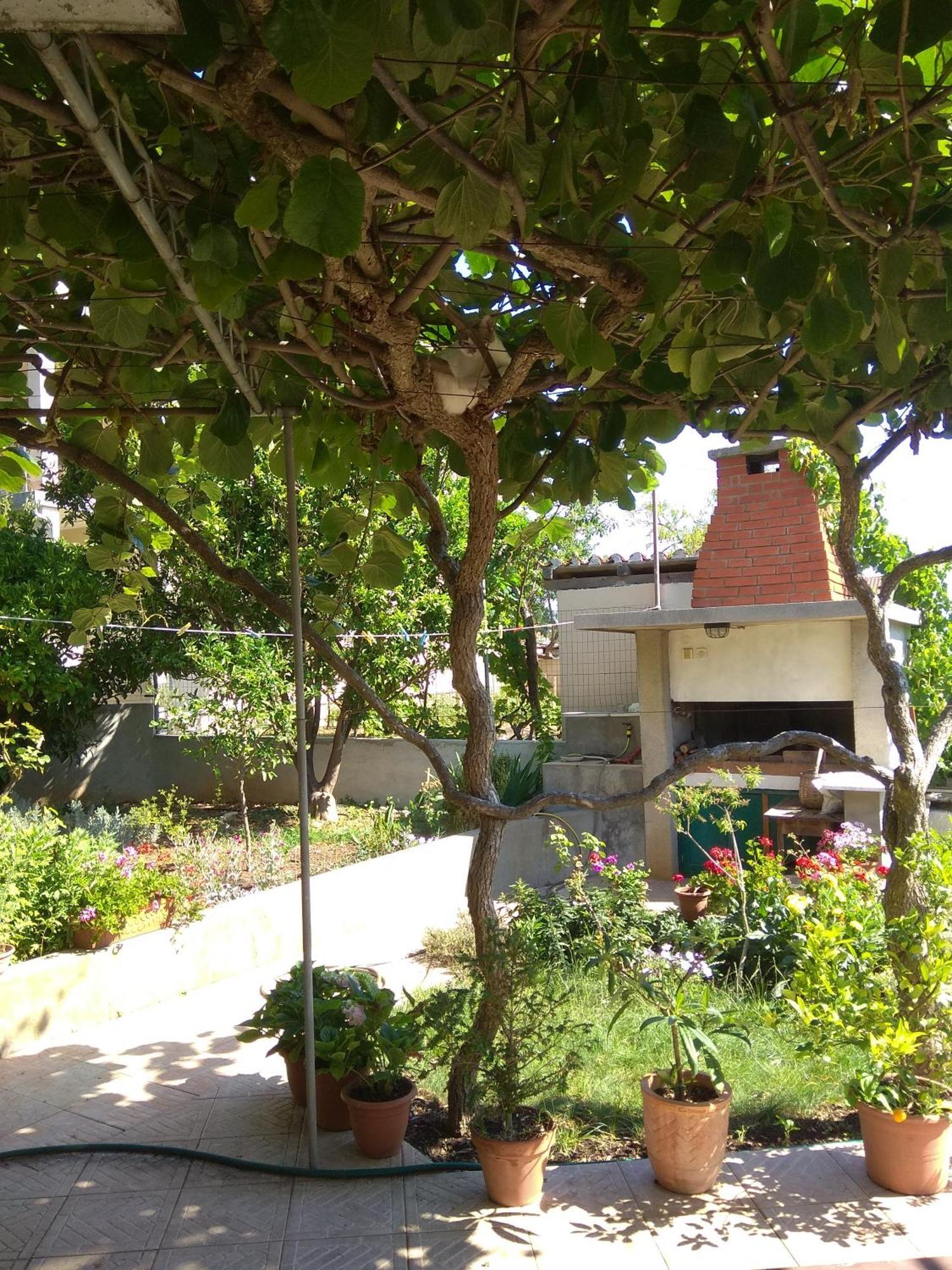 Villa Katarina Losinj Island Mali Lošinj Extérieur photo