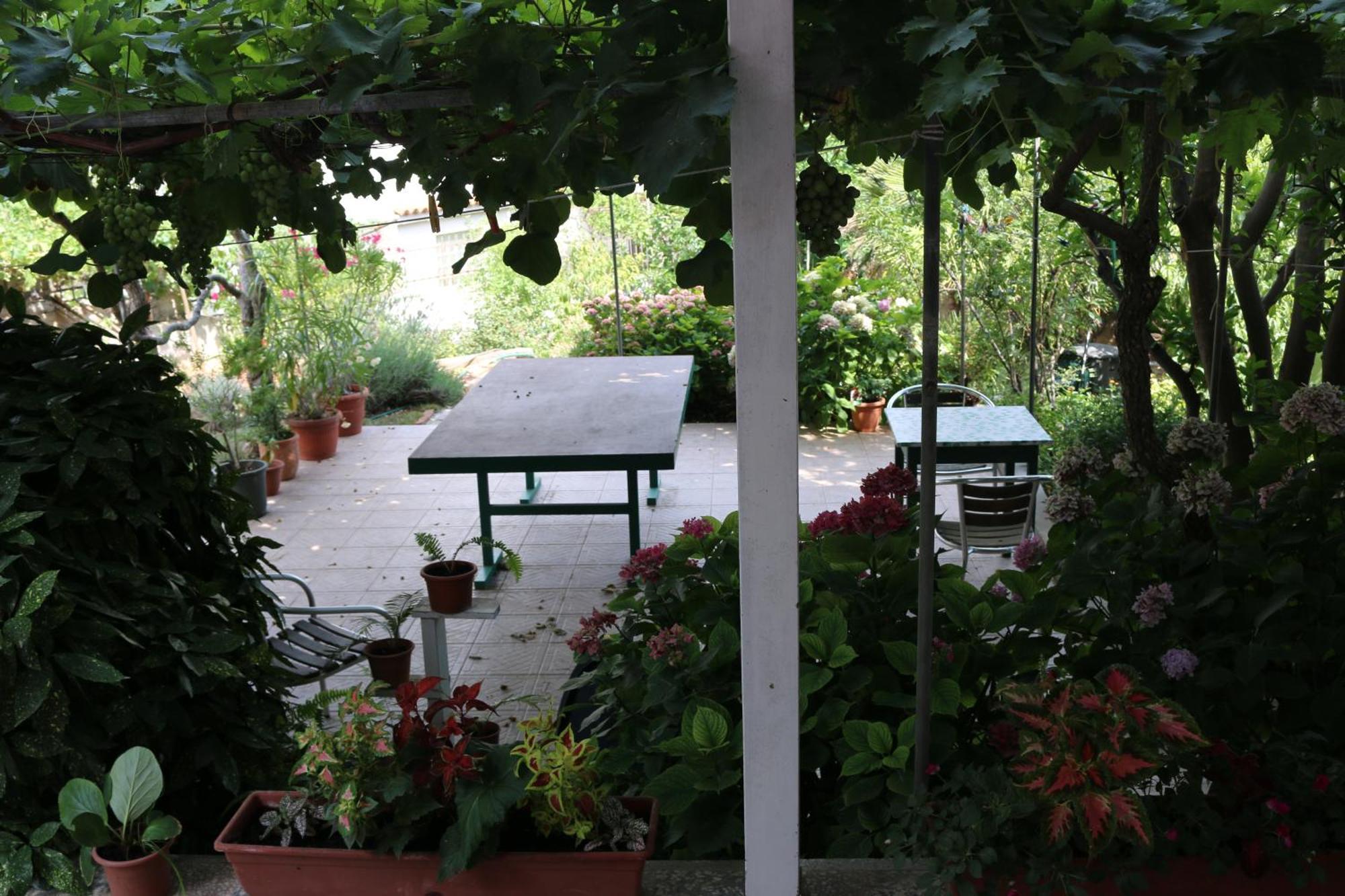 Villa Katarina Losinj Island Mali Lošinj Extérieur photo